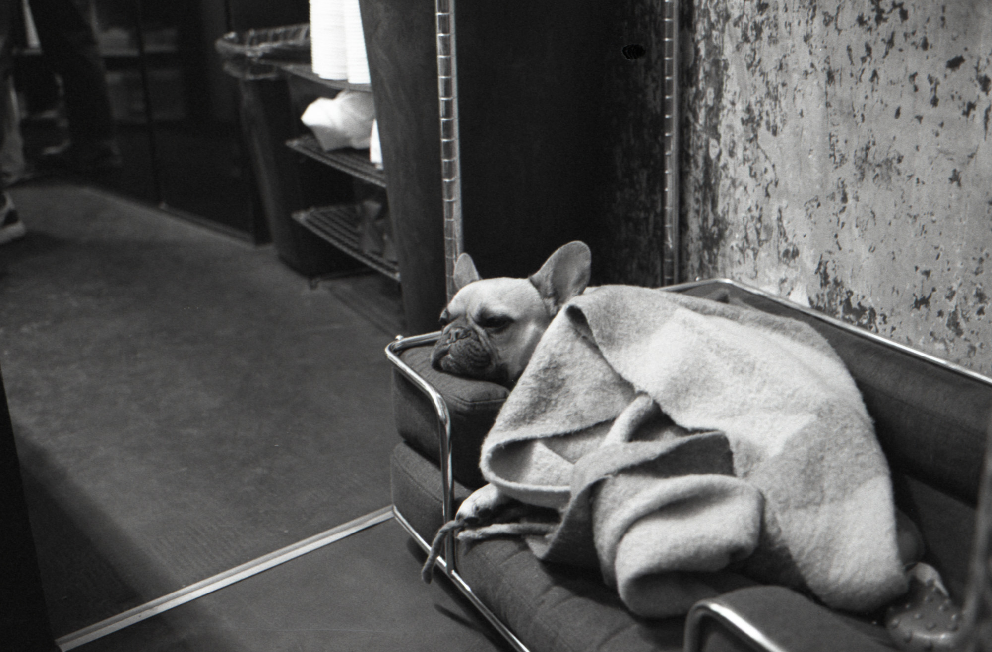 Art & documentary photo 10