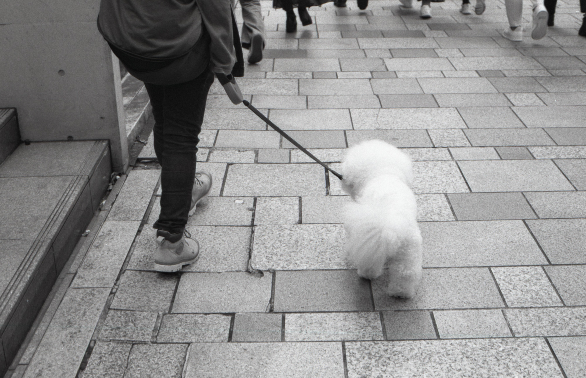 Art & documentary photo 11