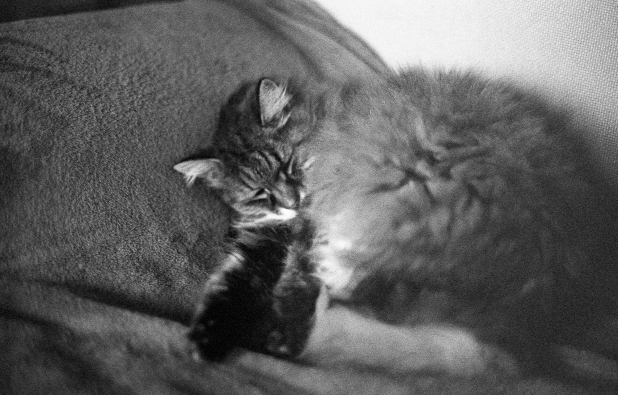 Art & documentary photo 12