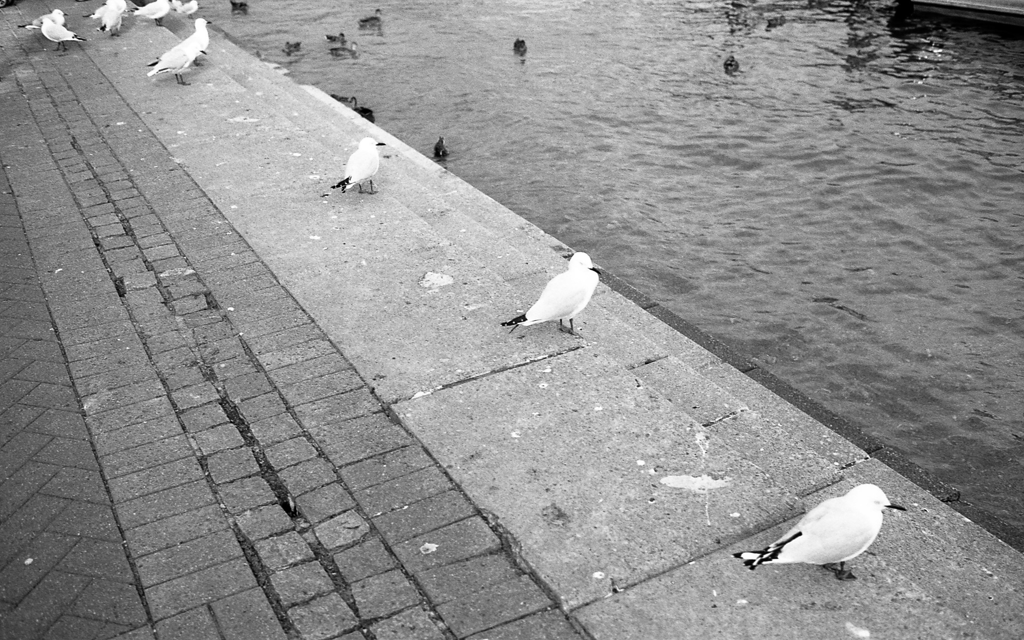 Art & documentary photo 20