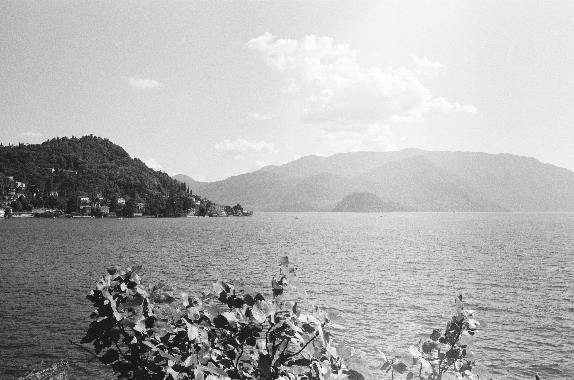 Art & documentary photo 26