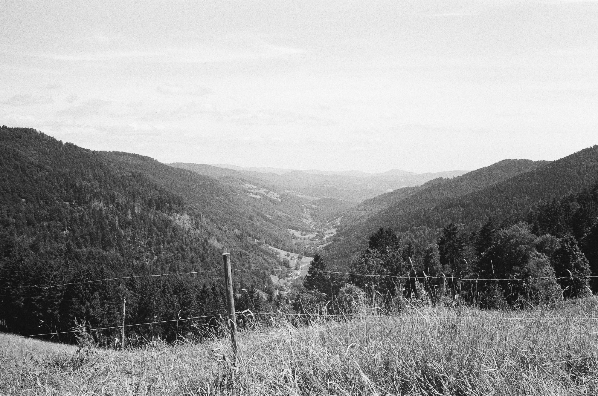 Art & documentary photo 27