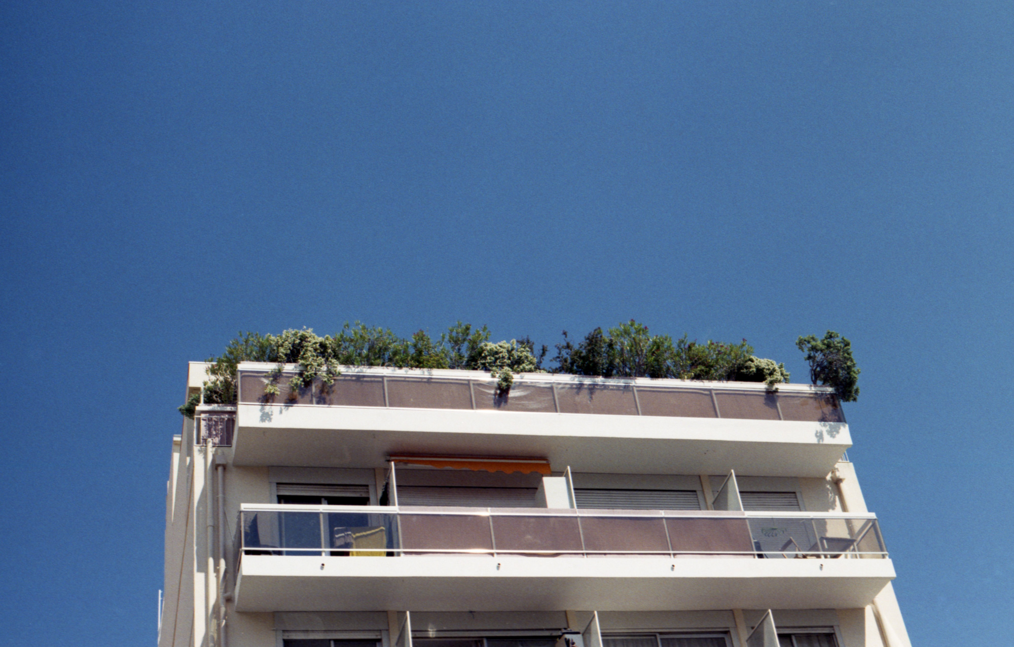 Art & documentary photo 34