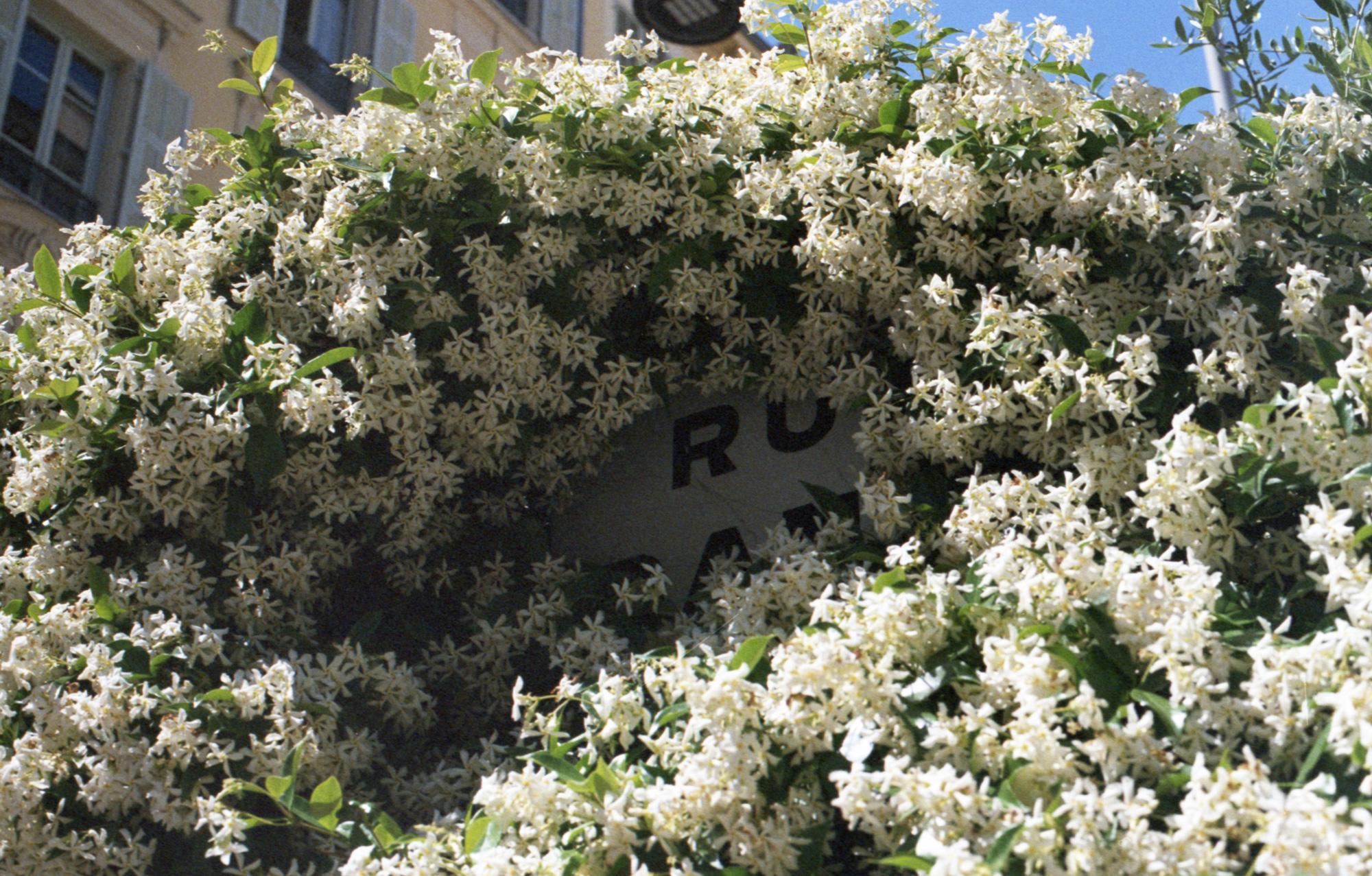 Art & documentary photo 36