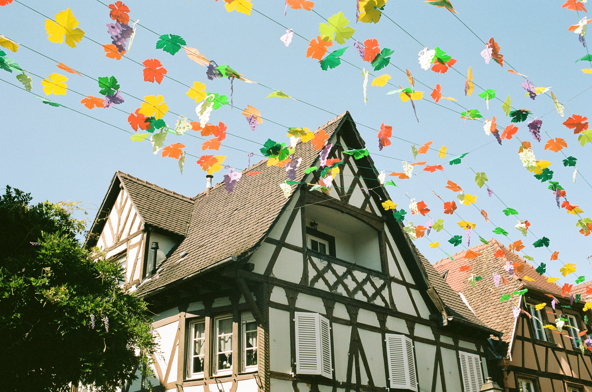 Art & documentary photo 37