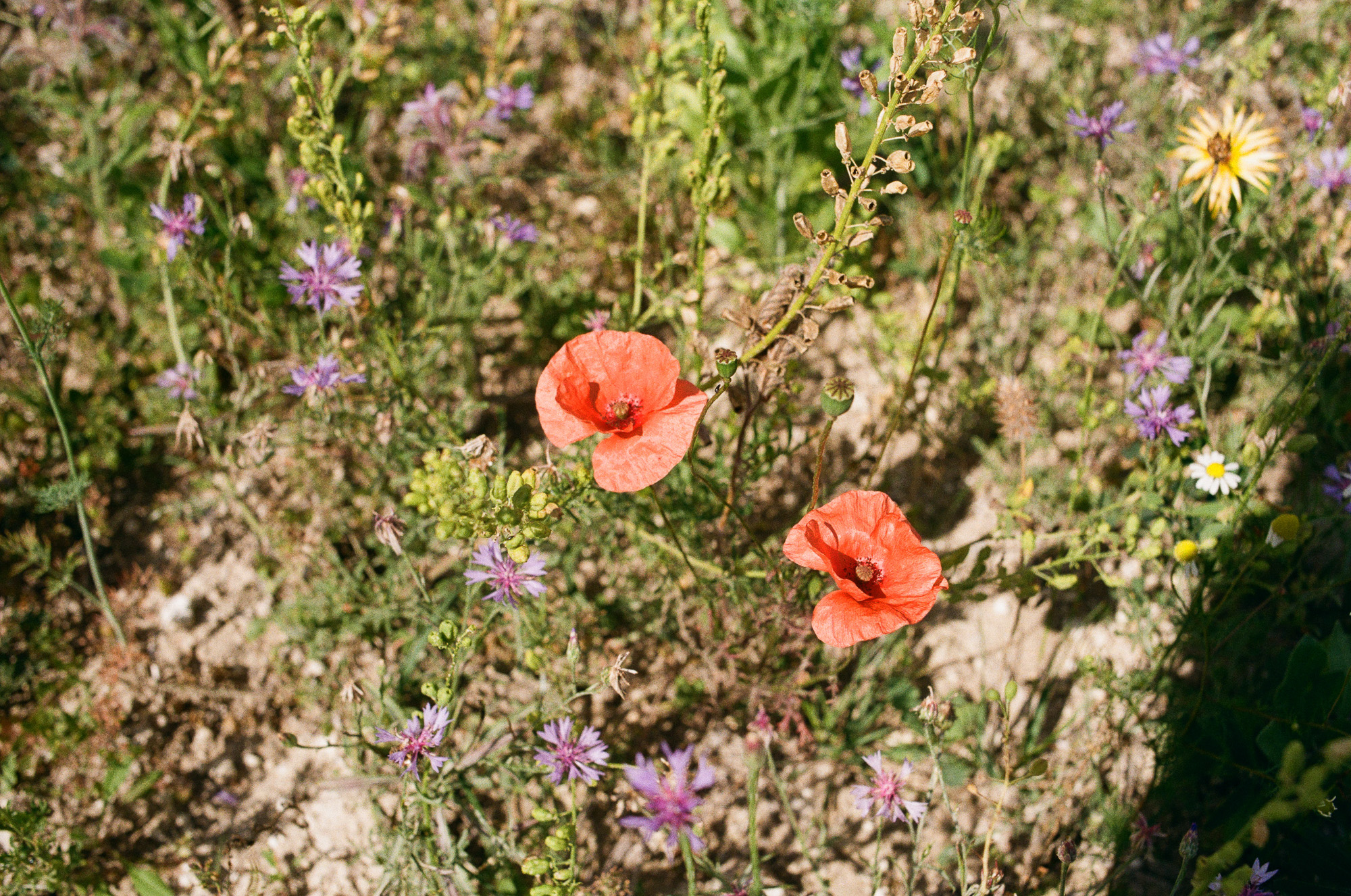 Art & documentary photo 41