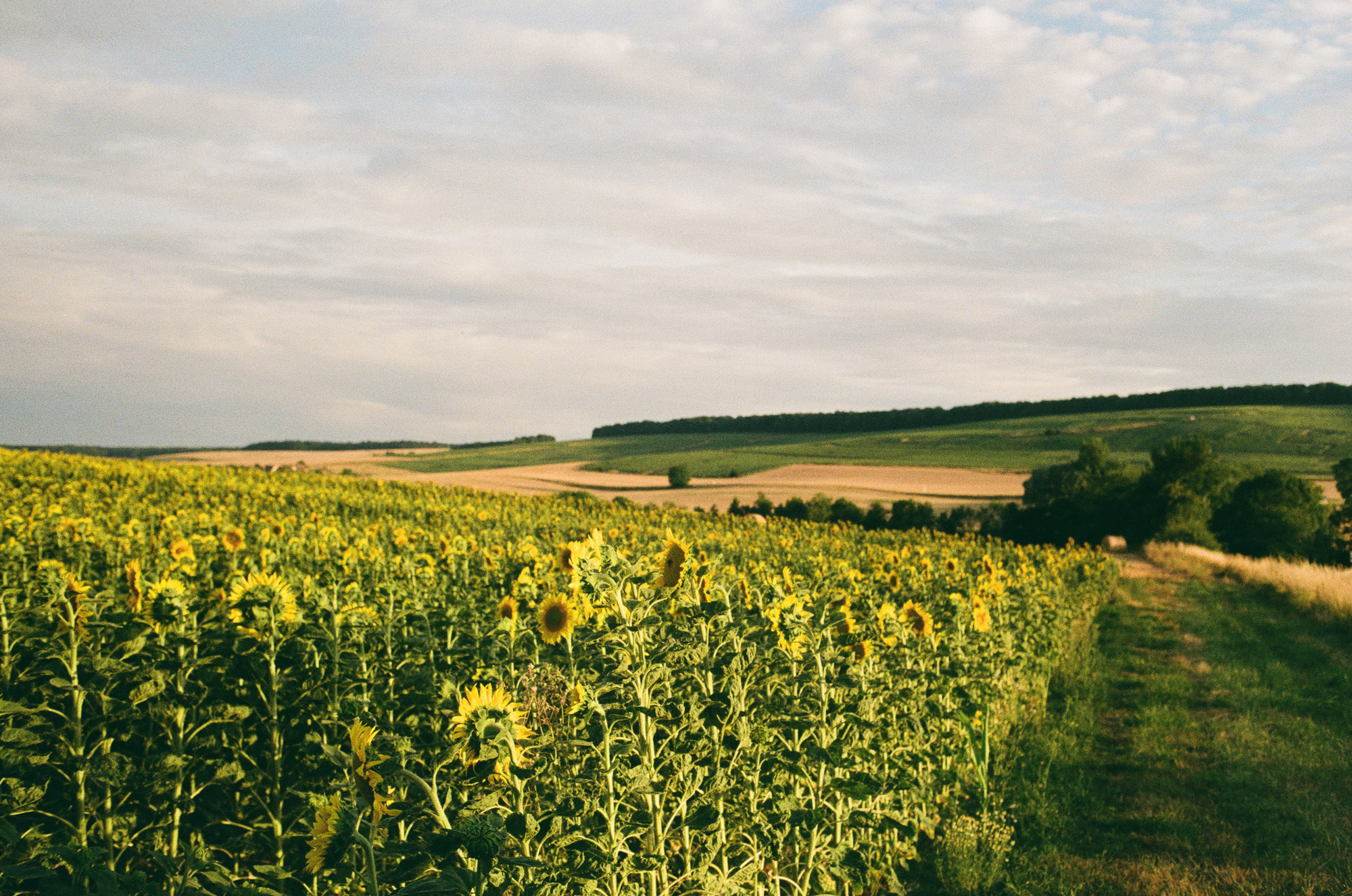 Art & documentary photo 42