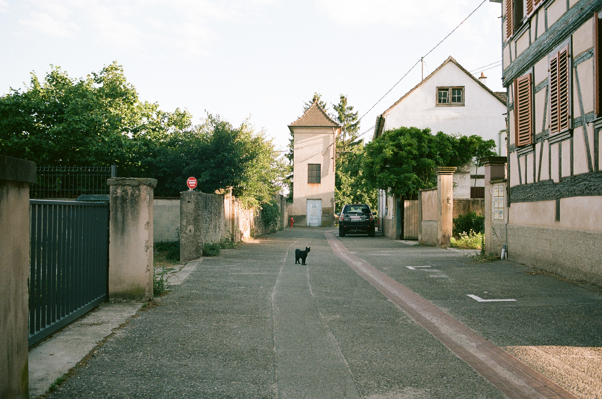 Art & documentary photo 43