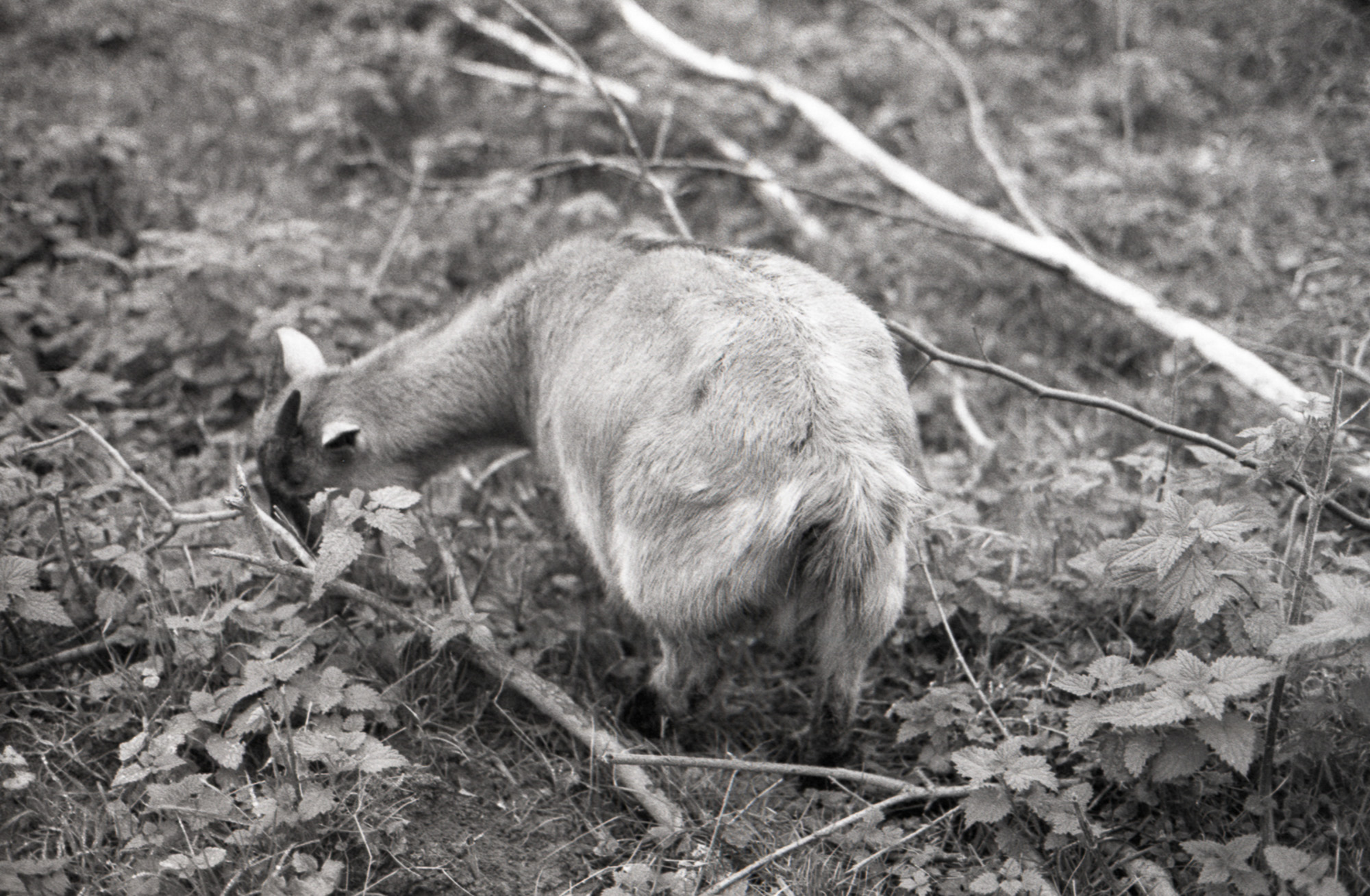 Art & documentary photo 5